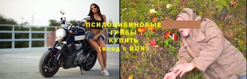 Псилоцибиновые грибы мухоморы  mega зеркало  Кашира 